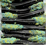 Barratt Liquorice Wands - 5 pieces - Best Before: 11/2025